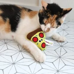 Mad Cat Peppurroni Pizza Catnip & Silvervine Cat Toy -Pawfect Care 157300 PT4. AC SS1800 V1637611900