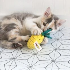 Mad Cat Purrfect Pineapple Catnip & Silvervine Cat Toy -Pawfect Care 157308 PT4. AC SS1800 V1637611890