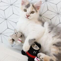 Mad Cat Ninja & Throwing Star Catnip & Silvervine Cat Toy -Pawfect Care 157314 PT3. AC SS1800 V1634833906