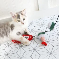 Mad Cat Sushi Swiper Wand Cat Toy -Pawfect Care 157316 PT4. AC SS1800 V1634833978