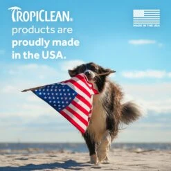 TropiClean Sweet Mandarin Highly Concentrated Dog & Cat Shampoo -Pawfect Care 158178 PT4. AC SS1800 V1694791880