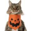 Frisco Jack O' Lantern Pumpkin Dog & Cat Bandana -Pawfect Care 158934 MAIN. AC SS1800 V1669148132