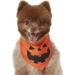 Frisco Jack O' Lantern Pumpkin Dog & Cat Bandana -Pawfect Care 158934 PT2. AC SS1800 V1690828662
