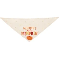 Frisco Mommy's Lil Pumpkin Dog & Cat Bandana -Pawfect Care 158936 PT3. AC SS1800 V1689628812