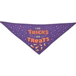 Frisco I Do Tricks For Treats Dog & Cat Bandana -Pawfect Care 158938 PT2. AC SS1800 V1633729005
