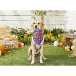Frisco I Do Tricks For Treats Dog & Cat Bandana -Pawfect Care 158938 PT4. AC SS1800 V1633069923