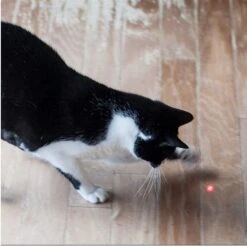 Pet Fit For Life 2 In 1 LED Laser Light & Interactive Wand Cat Toy -Pawfect Care 159020 PT4. AC SS1800 V1589320998