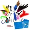 Pet Fit For Life Interactive Wand Teaser, Toys & Storage Bag 8 Piece Bundle Cat Toy -Pawfect Care 159022 MAIN. AC SS1800 V1589321012