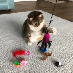 Pet Fit For Life Interactive Wand Teaser, Toys & Storage Bag 8 Piece Bundle Cat Toy -Pawfect Care 159022 PT2. AC SS1800 V1589320995