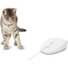 PetSafe Laser Tail Laser Cat Toy -Pawfect Care 159065 MAIN. AC SS1800 V1599843982