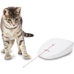 PetSafe Laser Tail Laser Cat Toy -Pawfect Care 159065 PT2. AC SS1800 V1549463831