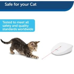 PetSafe Laser Tail Laser Cat Toy -Pawfect Care 159065 PT6. AC SS1800 V1599844269