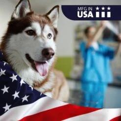 VetWELL EarWELL Otic Cleansing Solution With Aloe Cucumber Melon Scent Dog & Cat Ear Solution -Pawfect Care 159294 PT4. AC SS1800 V1552398495