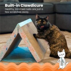 Catstages Fold Away Cat Tunnel Toy -Pawfect Care 159439 PT2. AC SS1800 V1636522026