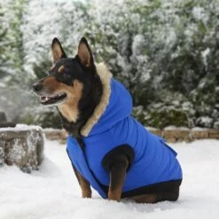 Frisco Heavyweight Anchorage Insulated Dog & Cat Parka -Pawfect Care 160250 PT7. AC SS1800 V1567011259