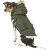Frisco Mid-Heavyweight Portland Insulated Dog & Cat Parka -Pawfect Care 160295 MAIN. AC SS1800 V1566999745