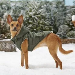 Frisco Mid-Heavyweight Portland Insulated Dog & Cat Parka -Pawfect Care 160295 PT7. AC SS1800 V1567618265