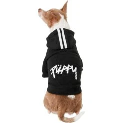 Frisco Püppy Dog Athletic Hoodie -Pawfect Care 160342 PT2. AC SS1800 V1637689590