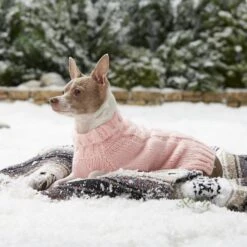 Frisco Ultra-Soft Marled Dog & Cat Sweater -Pawfect Care 160636 PT5. AC SS1800 V1568061185