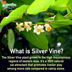 Hartz Cattraction Silver Vine & Catnip Gator Cat Scratcher Toy, Color Varies -Pawfect Care 161051 PT4. AC SS1800 V1637163093