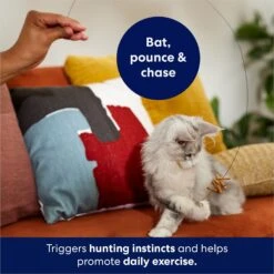 Frisco Cardboard & Wire Teaser Cat Toy -Pawfect Care 161194 PT3. AC SS1800 V1686579092