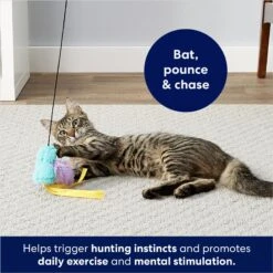 Frisco Bird With Feathers Teaser Wand Cat Toy With Catnip 8 Frisco Bird With Feathers Teaser Wand Cat Toy With Catnip -Pawfect Care 161199 PT2. AC SS1800 V1678723897