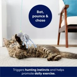 Frisco Bouncy Mouse Plush Teaser Cat Toy With Catnip -Pawfect Care 161259 PT5. AC SS1800 V1686580155