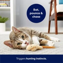 Frisco Skinny Mouse Plush Cat Toy With Catnip -Pawfect Care 161268 PT5. AC SS1800 V1686578718