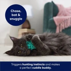 Frisco Moppy Ball Cat Toy With Catnip -Pawfect Care 161280 PT3. AC SS1800 V1686580106