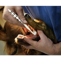 Petosan SilentPower Sonic Double-Headed Dog & Cat Toothbrush -Pawfect Care 163015 PT3. AC SS1800 V1554388319