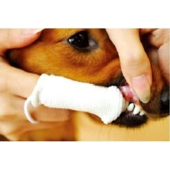 Petosan Antibacterial Fingercloth Dog & Cat Toothbrush -Pawfect Care 163029 PT4. AC SS1800 V1554388627