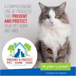 Adams® Adams Medication For Ear Mites For Dogs & Cats -Pawfect Care 164750 PT5. AC SS1800 V1679679387