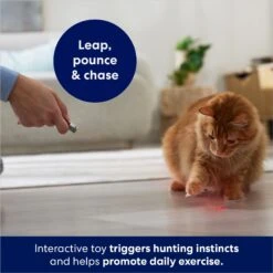 Frisco 2-in-1 Laser & LED Light Laser Cat Toy -Pawfect Care 166309 PT3. AC SS1800 V1686579688