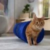 Frisco Foldable Play Tunnel With Mesh Cat Toy -Pawfect Care 166385 MAIN. AC SS1800 V1686579145