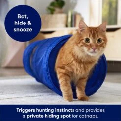 Frisco Foldable Play Tunnel With Mesh Cat Toy -Pawfect Care 166385 PT2. AC SS1800 V1686580143