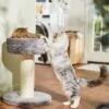 Frisco 24.8-in Heavy Duty Faux Fur Cat Tree -Pawfect Care 169397 MAIN. AC SS1800 V1680808632