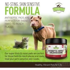 Strawfield Pets Antiseptic + Chlorhexidine Wipes For Dogs, Cats & Horses -Pawfect Care 169455 PT3. AC SS1800 V1557865022