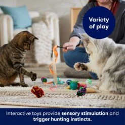 Frisco Plush, Teaser & Ball Variety Pack Cat Toy With Catnip -Pawfect Care 169686 PT5. AC SS1800 V1691783971