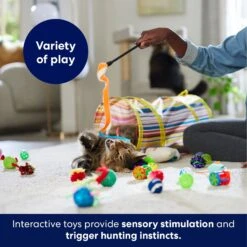 Frisco Plush, Teaser, Ball & Tunnel Variety Pack Cat Toy With Catnip -Pawfect Care 169688 PT5. AC SS1800 V1691784246