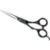Andis Premium Straight Shear, 6.25"