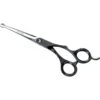 Andis Premium Ball Tip Shear, 6.5" 1 Andis Premium Ball Tip Shear, 6.5" -Pawfect Care 172559 MAIN. AC SS1800 V1556915262