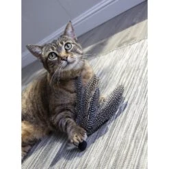 Petlinks HappyNip Safari Zippy Zebra Feathered Cat Toy With Catnip 14 Petlinks HappyNip Safari Zippy Zebra Feathered Cat Toy With Catnip -Pawfect Care 173495 PT3. AC SS1800 V1594672330