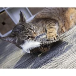 Petlinks HappyNip Safari Zippy Zebra Feathered Cat Toy With Catnip 15 Petlinks HappyNip Safari Zippy Zebra Feathered Cat Toy With Catnip -Pawfect Care 173495 PT4. AC SS1800 V1594674684