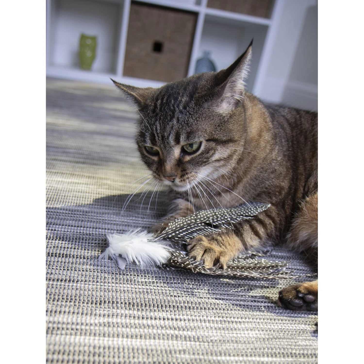 Petlinks HappyNip Safari Zippy Zebra Feathered Cat Toy With Catnip 8 Petlinks HappyNip Safari Zippy Zebra Feathered Cat Toy With Catnip - Image 6