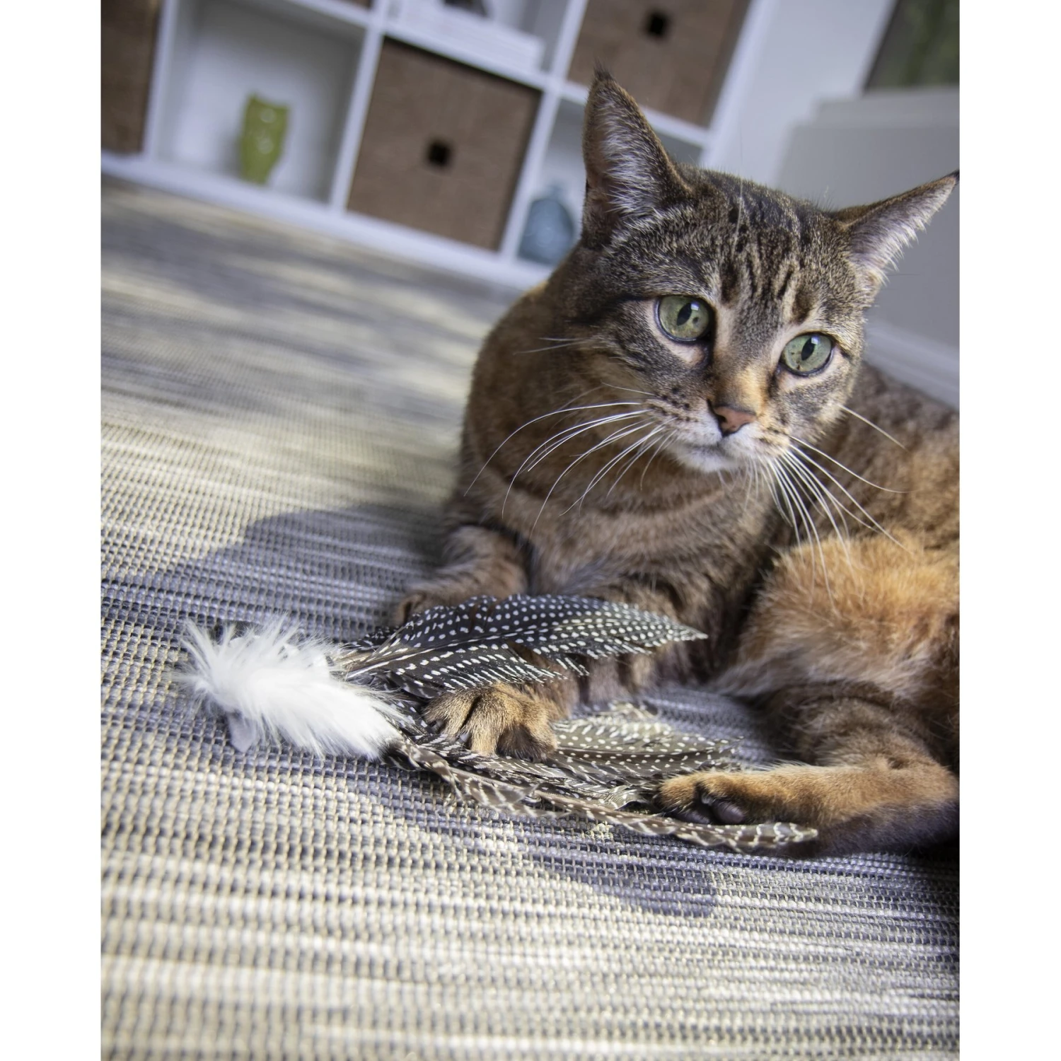 Petlinks HappyNip Safari Zippy Zebra Feathered Cat Toy With Catnip 10 Petlinks HappyNip Safari Zippy Zebra Feathered Cat Toy With Catnip - Image 8