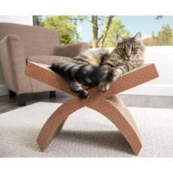 Petlinks Scratcher's Choice Perch Hammock Cat Scratcher Toy With Catnip -Pawfect Care 173521 PT2. AC SS1800 V1595371090
