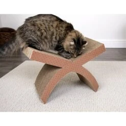 Petlinks Scratcher's Choice Perch Hammock Cat Scratcher Toy With Catnip -Pawfect Care 173521 PT4. AC SS1800 V1595366171