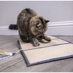 Petlinks Scratch & Play Mat Cat Scratcher Toy With Catnip -Pawfect Care 173531 PT2. AC SS1800 V1595371119