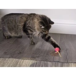 SmartyKat Crazy Cruiser Rumble Bug Electronic Cat Toy -Pawfect Care 173634 PT2. AC SS1800 V1599754701