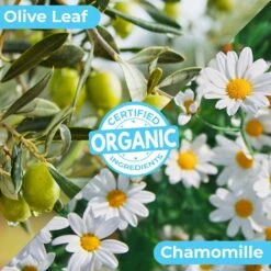 Pawtitas Organic Sheabutter & Oatmeal Cat Shampoo & Conditioner -Pawfect Care 173809 PT4. AC SS1800 V1682099788